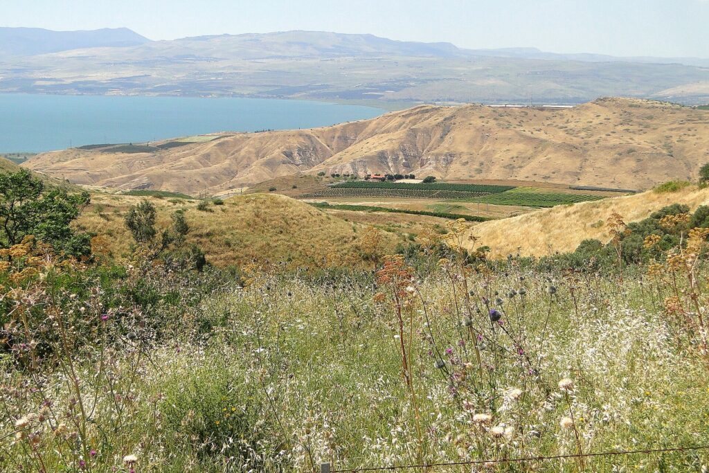 נוף רמת הגולן מעל הכנרת באביב