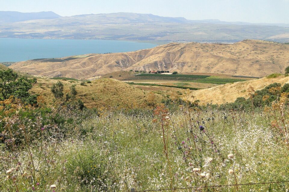 נוף רמת הגולן מעל הכנרת באביב